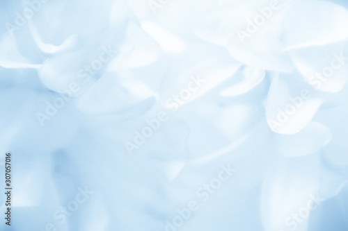 Beautiful abstract color blue and white flowers background and blue flower frame and pink and blue leaves texture background 