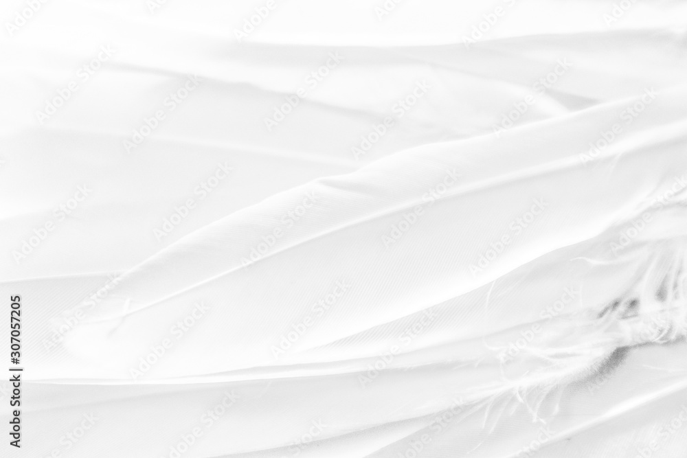 Beautiful abstract colorful yellow and white feathers on white background and soft white feather texture on white pattern