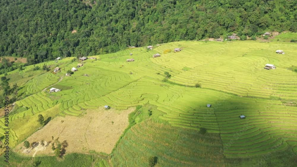 Aerial shot of the marvelous teraces rice field in mountains during ...