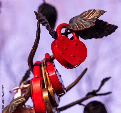 lots of colorful wedding love locks in form of heart with beautiful bright bow knots and ribbon on a bridal tree with form of heart, nuptial tradition of couples photo