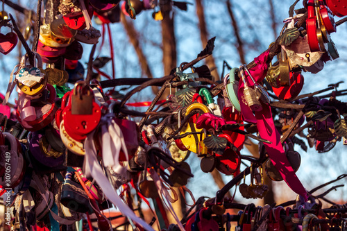 lots of colorful wedding love locks in form of heart with beautiful bright bow knots and ribbon on a bridal tree with form of heart, nuptial tradition of couples