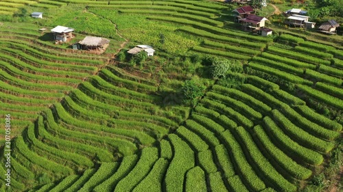 Aerial shot of the marvelous teraces rice field in mountains during sunset in Thailand. Beautiful Pa Bong Piang terraced rice fields, Mae Chaem, Chiang Mai Thailand in harvest season. photo