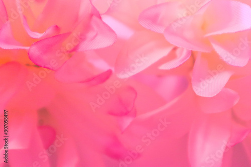 Beautiful abstract color pink and white flowers background and pink flower frame and white and pink leaves texture background 