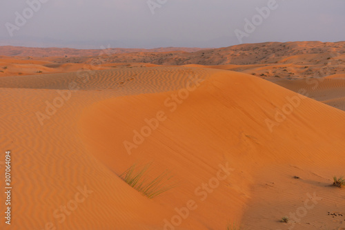 Desert at sunrise brings out bold burnt orange colored sand making a great desert landscape on rippling or rolling hills in Ras al Khaimah  in the United Arab Emirates.