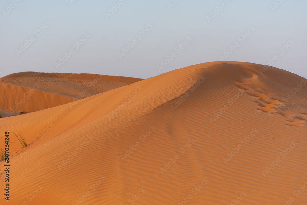 Desert at sunrise brings out bold burnt orange colored sand making a great desert landscape on rippling or rolling hills in Ras al Khaimah, in the United Arab Emirates.