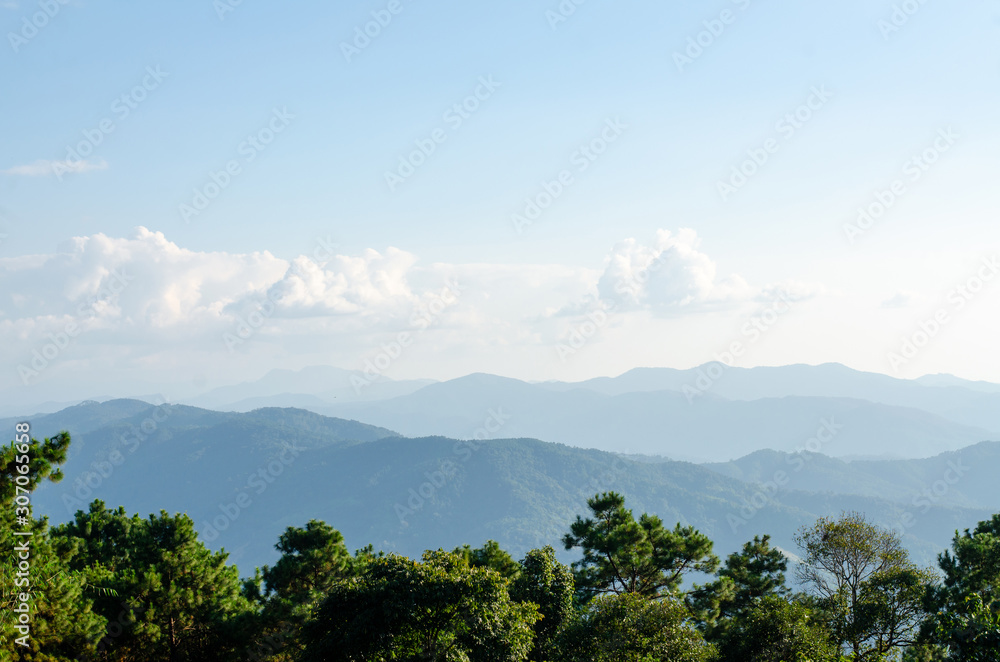 Landscape horizon and mountains view with tree forest Landscape horizon and mountains view with tree forest