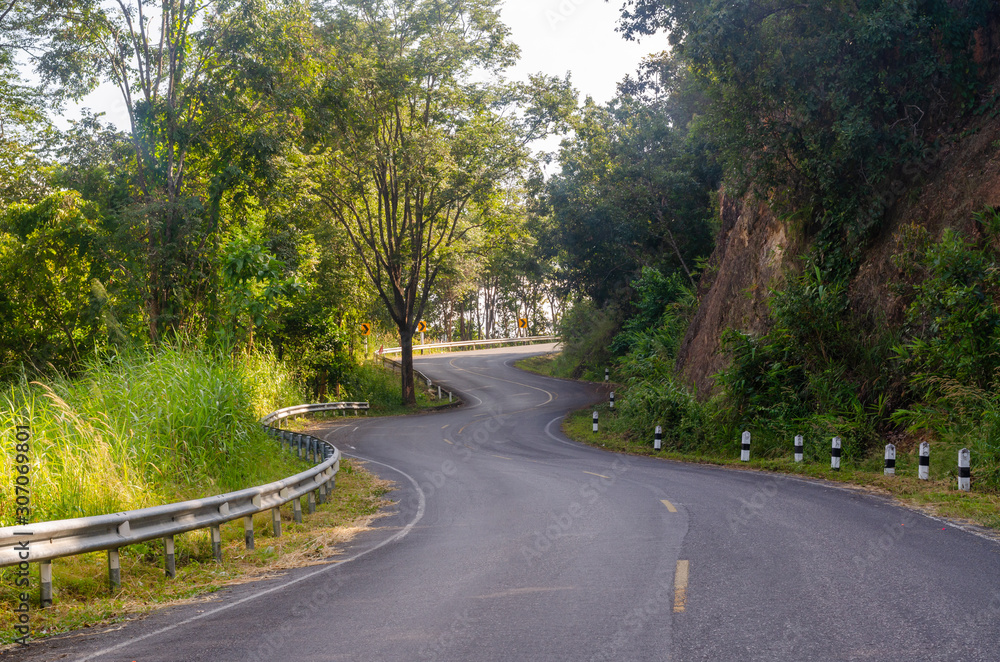 Curved road among forest in the rural road area