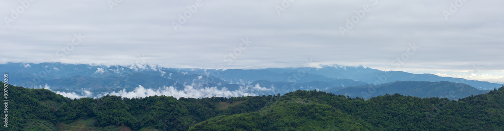 Panorama landscape of mountain forest at morning time with fog or mist or cloud.