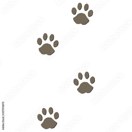 犬の足跡