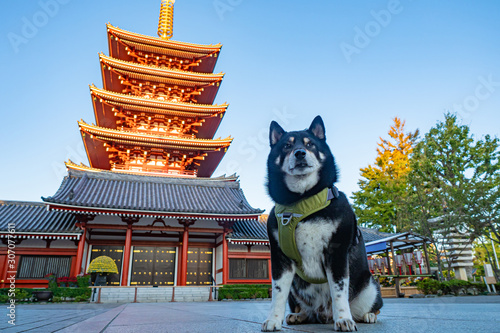 Tokyo. Japan. Asakusa Templ...