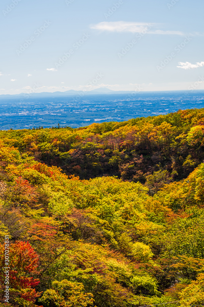 那須の紅葉　Leaves change color in the autumn.
