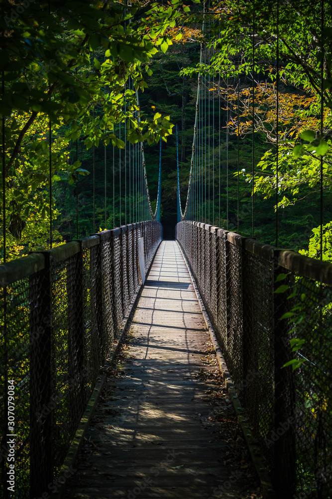 Obraz premium 回顧の吊橋