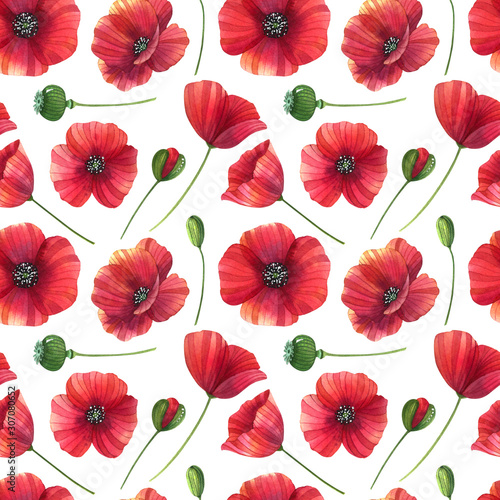 Watercolor seamless pattern with poppies  leaves and buds on the white background. Hand drawn summer background.