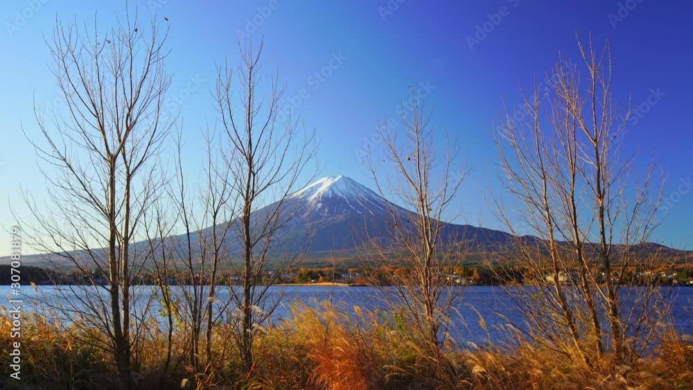 Mountain fuji with grass foreground, Kawaguchiko Lake, Japan Mountain fuji with grass foreground, Kawaguchiko Lake, Japan