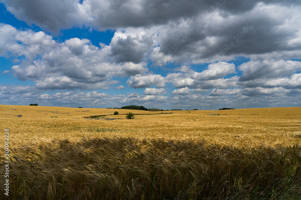 Fototapeta premium Müritz
