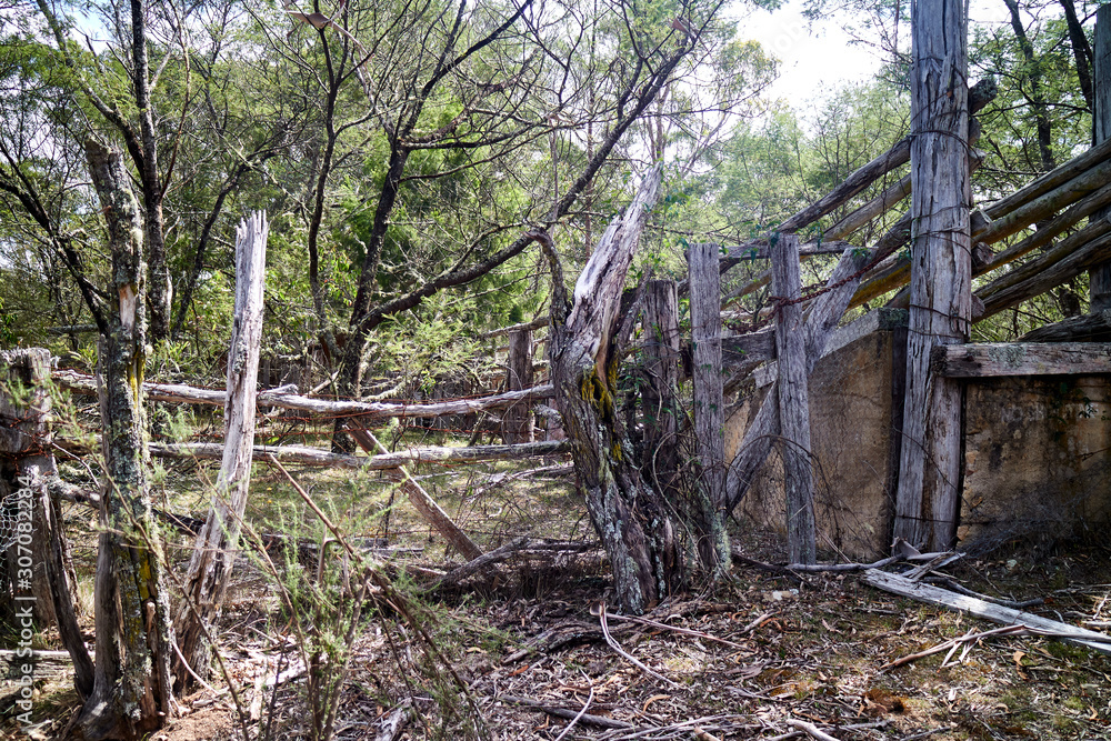 Abandoned stock yards near Braidwood, New South Wales, Australia Abandoned stock yards near Braidwood, New South Wales, Australia