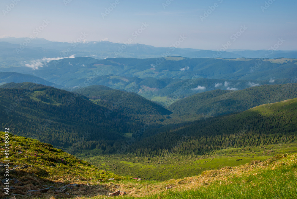 Carpathian mountains landscape in summer