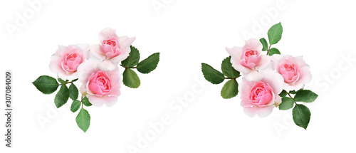 Set of rose flowers arrangements