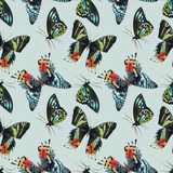 Beautiful watercolor colorful butterflies seamless pattern. Hand drawn artwork. Ready wallpaper or print. Gentle mint background. Beauty of nature.