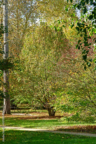 Versailles; France - october 14 2018 : Petit Trianon park in the Marie Antoinette estate photo