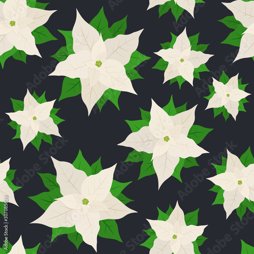 Seamless Background with White Poinsettia Flowers