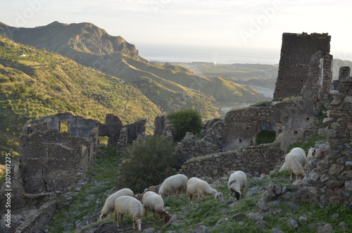 old abandoned castle trekking in the edge of Amendolea Bova national park Aspromonte