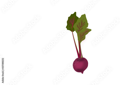 rote bete