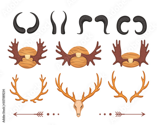 Different vector horns , deer skull and moose horny hunting trophy. Antler, antelope, goat, deers and elk animal horn.