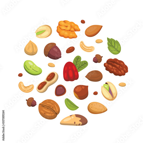 Set vector icons nuts in cartoon style. Nut food collection. Peanut, hazelnut, pistachio, cashew, pecan, walnut, brazil nut, almond and acorn