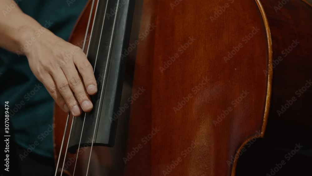 professional musician playing double bass professional musician playing double bass