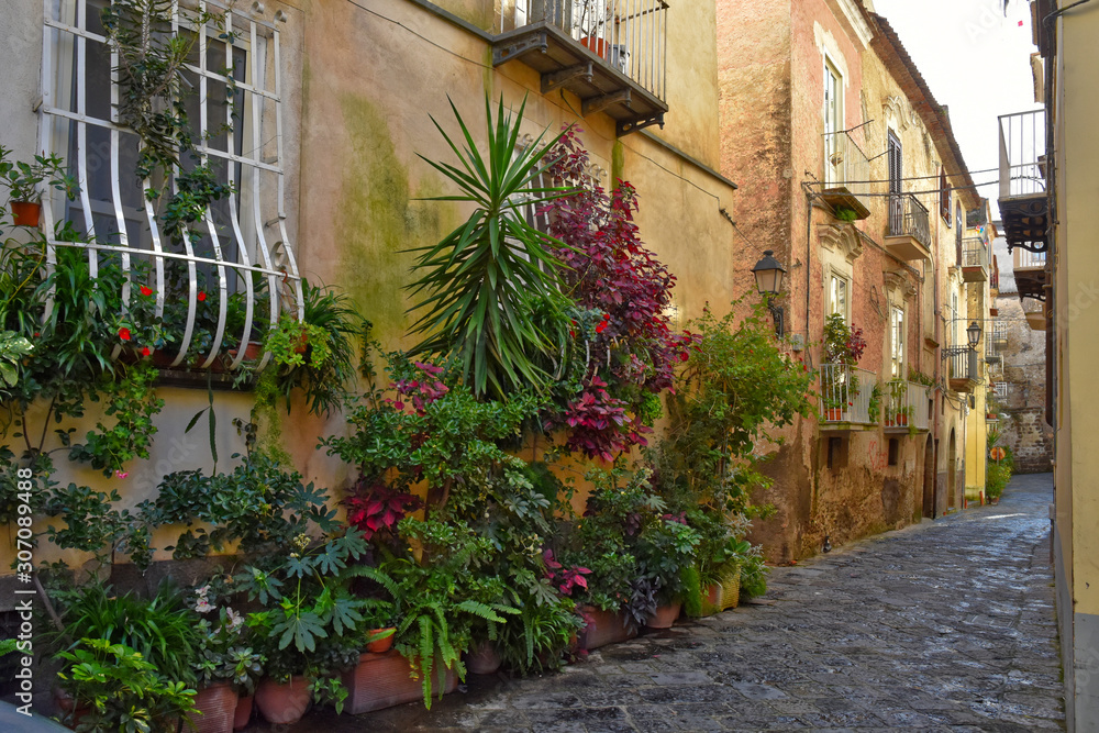 A small street among the old houses of Sessa Aurunca, a medieval village in the province of Caserta