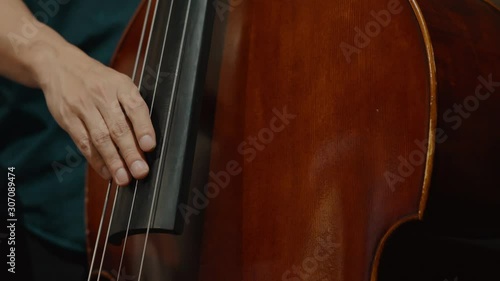professional musician playing double bass