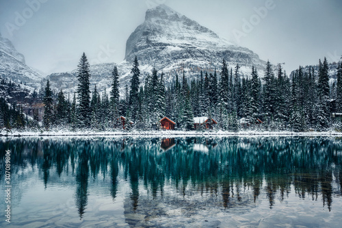Fototapeta Wooden lodge in pine forest with heavy snow reflection on Lake O'hara at Yoho na