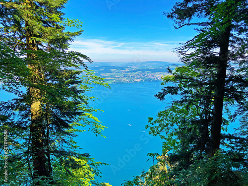 View of the Lake Luzerne or Vierwaldstättersee (Vierwaldstaettersee oder Vierwaldsattersee) from the Bürgenberg mountain, Obbürgen (Obburgen or Obbuergen) - Canton of Nidwalden, Switzerland photo