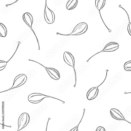 Vector seamless pattern with  hand drawn edible fruits  of capers. Sketch illustration. photo