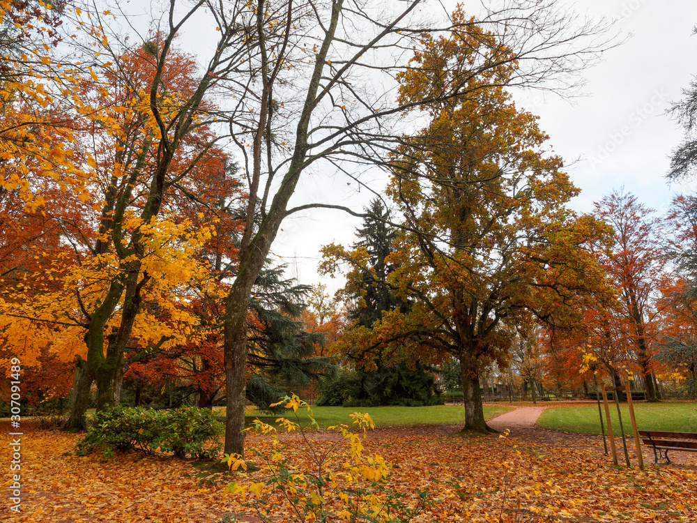 Parc floral et jardin public de Lapalisse en Allier aux espaces engazonnés entourés de nombreuses essences végétales aux couleurs d'automne Parc floral et jardin public de Lapalisse en Allier aux espaces engazonnés entourés de nombreuses essences végétales aux couleurs d'automne