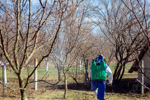 Gardener wearing protective overall sprinkles fruit trees with long sprayer in the orchard © Roman_23203