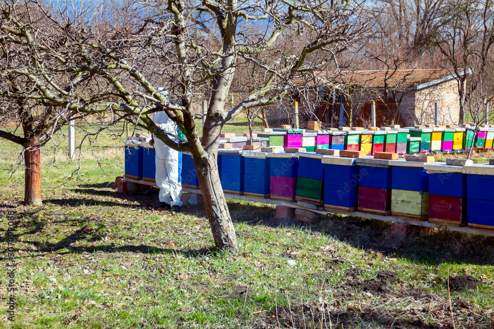 Gardener wearing protective overall sprinkles fruit trees with long sprayer, apiary is in the orchard Gardener wearing protective overall sprinkles fruit trees with long sprayer, apiary is in the orchard