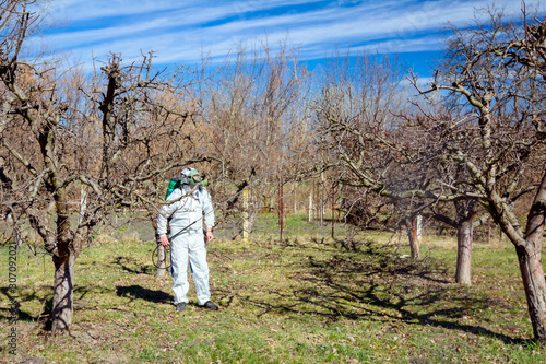 Gardener wearing protective overall sprinkles fruit trees with long sprayer in the orchard