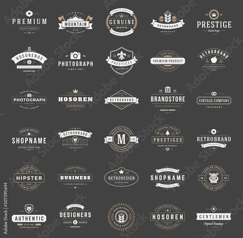 Retro vintage logotypes and badges set typopgraphic design elements vector illustration