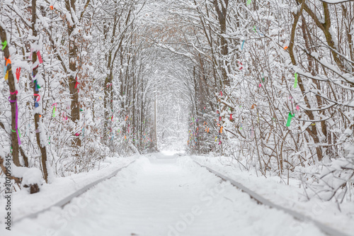 Wallpaper Mural a railway in the winter forest tunnel of love.a railway in the winter forest tunnel of love. Torontodigital.ca