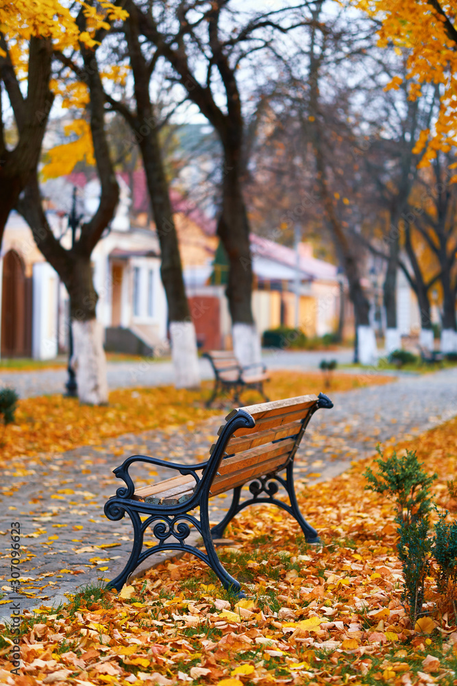Bench in the city, autumn season, nobody, street
