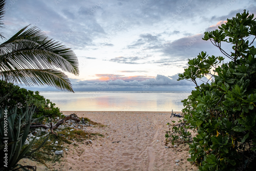 tropical beach with palm trees tropical beach with palm trees