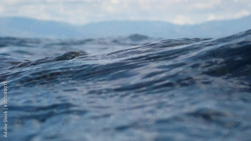 Green sea turtle (chelonia mydas) ascends to the surface to breathe and submerge again underwater. Green sea turtle (chelonia mydas) ascends to the surface to breathe and submerge again underwater.