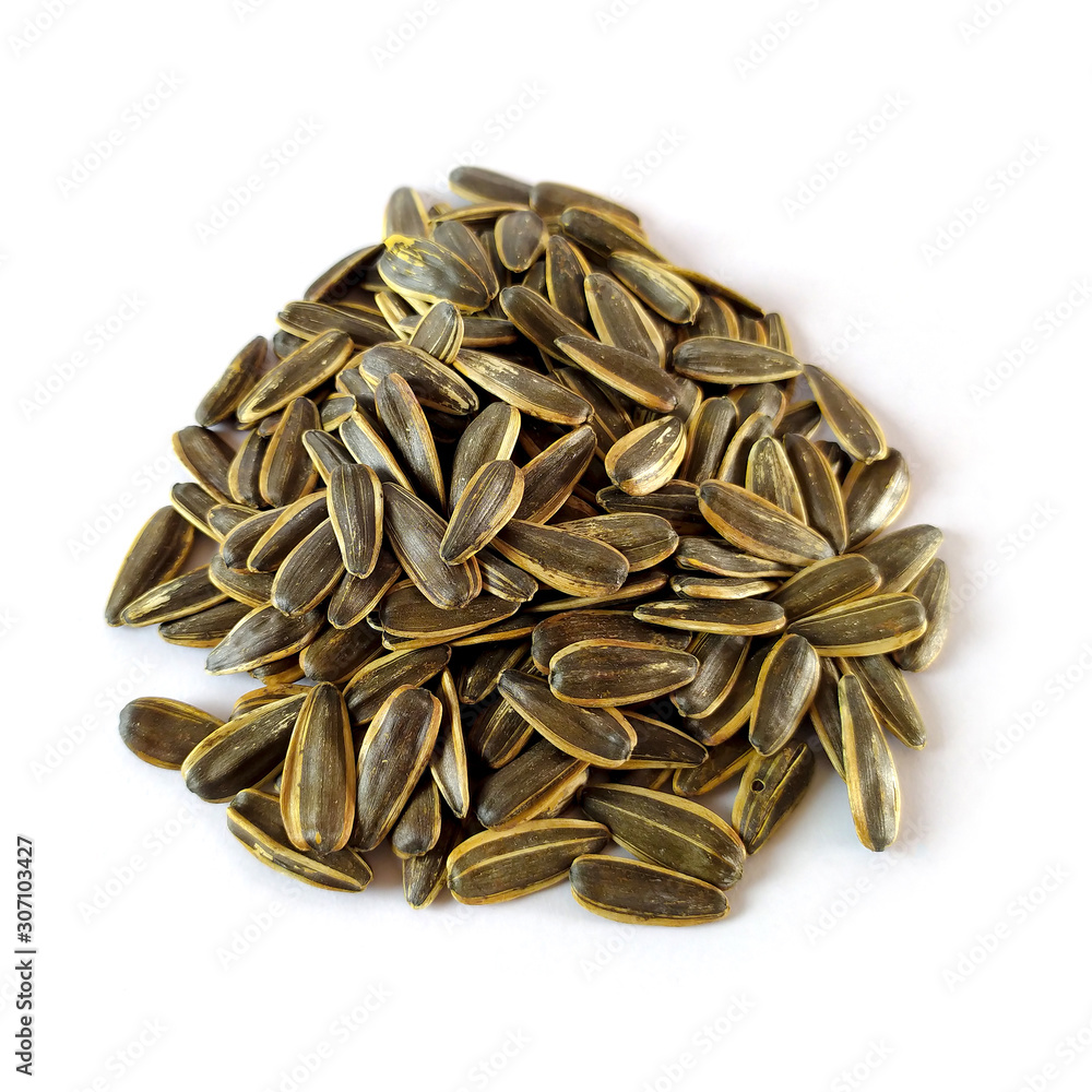 Sunflower seeds drying on a white background. Sunflower seeds drying on a white background.