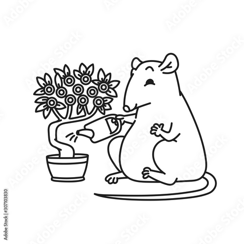 Rat watering money tree. Cute mouse Chinese new year symbol vector outline cartoon black white isolated illustration.