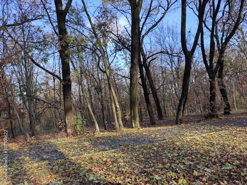 Belgrade Serbia Topcider park in autumn