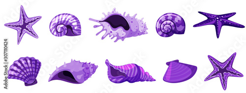 Set of isolated seashells in purple color