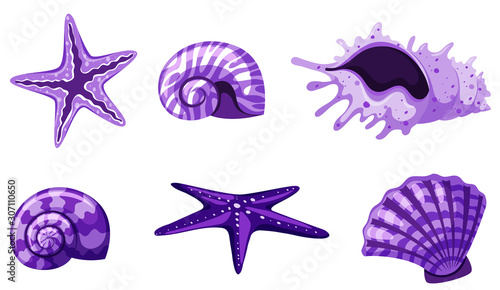 Set of isolated seashells in purple colors