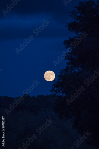 full moon in the sky